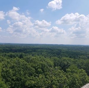 Meet your Posher, Sadie